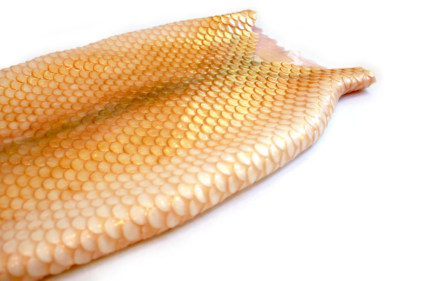 Professional mermaid tail, completely in silicone (dragon skin), with monofin inside.