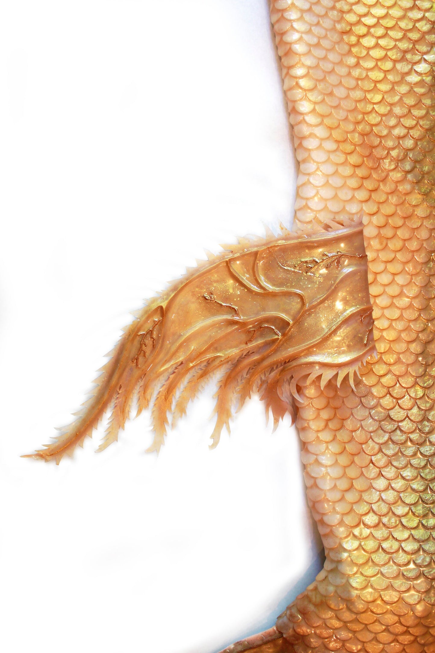 Professional mermaid tail, completely in silicone (dragon skin), with monofin inside.