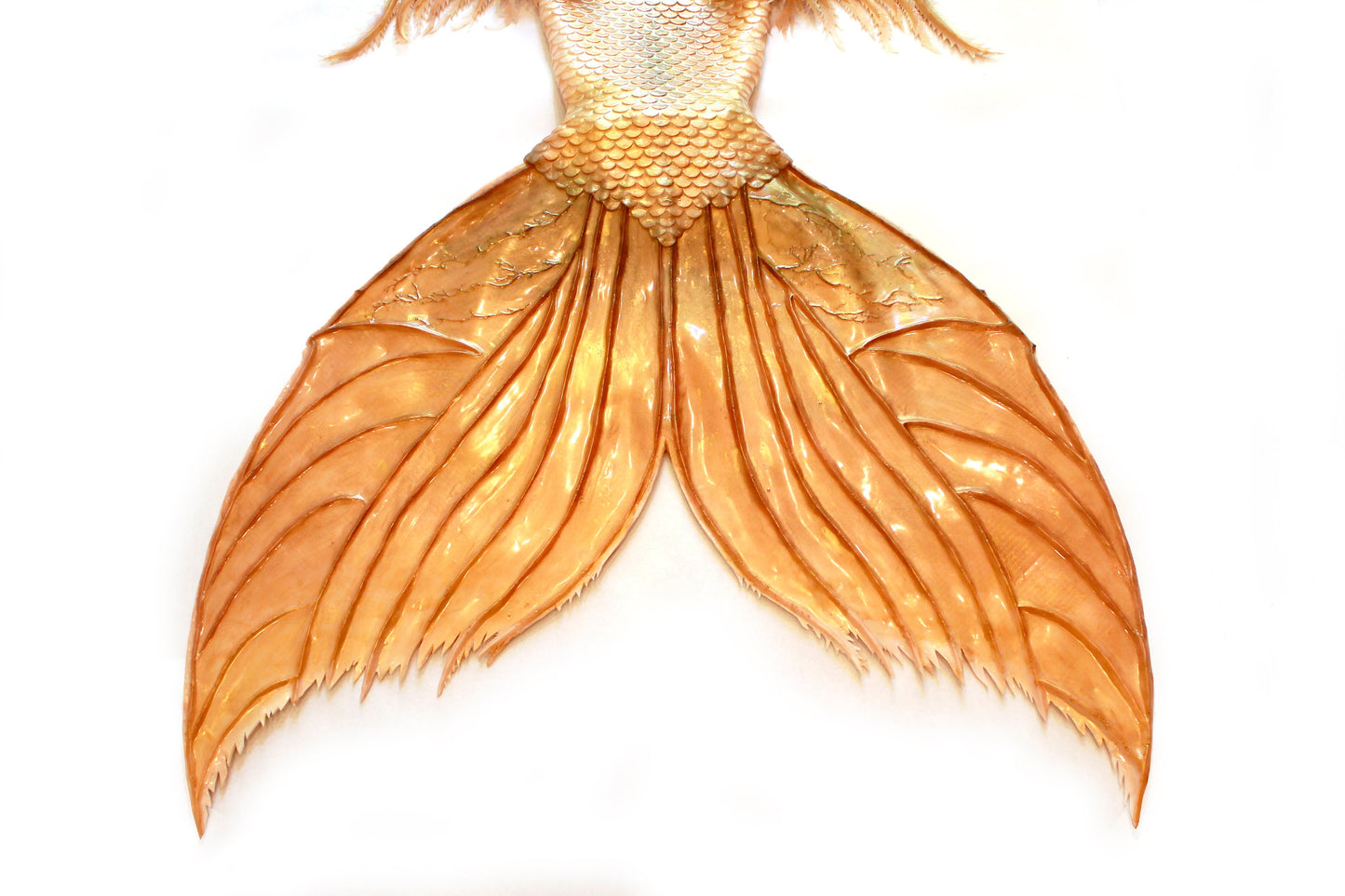 Professional mermaid tail, completely in silicone (dragon skin), with monofin inside.