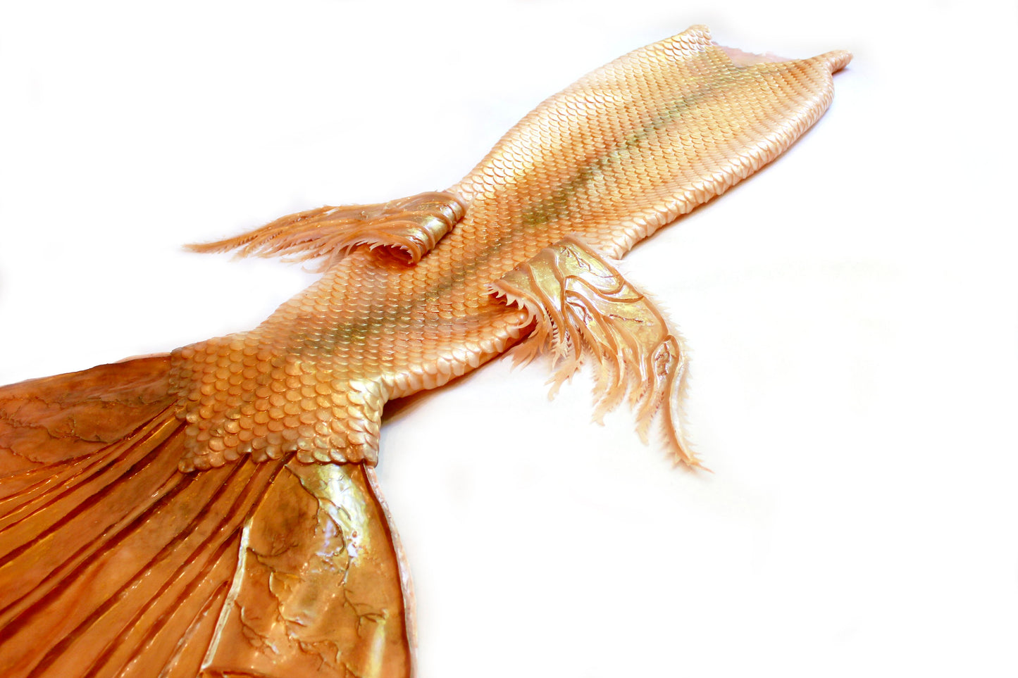Professional mermaid tail, completely in silicone (dragon skin), with monofin inside.