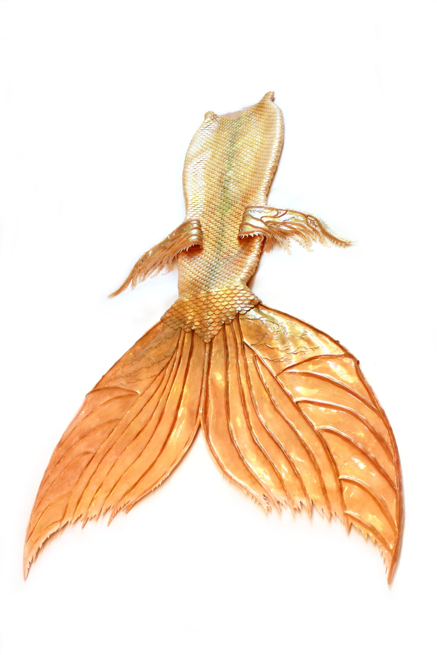 Professional mermaid tail, completely in silicone (dragon skin), with monofin inside.