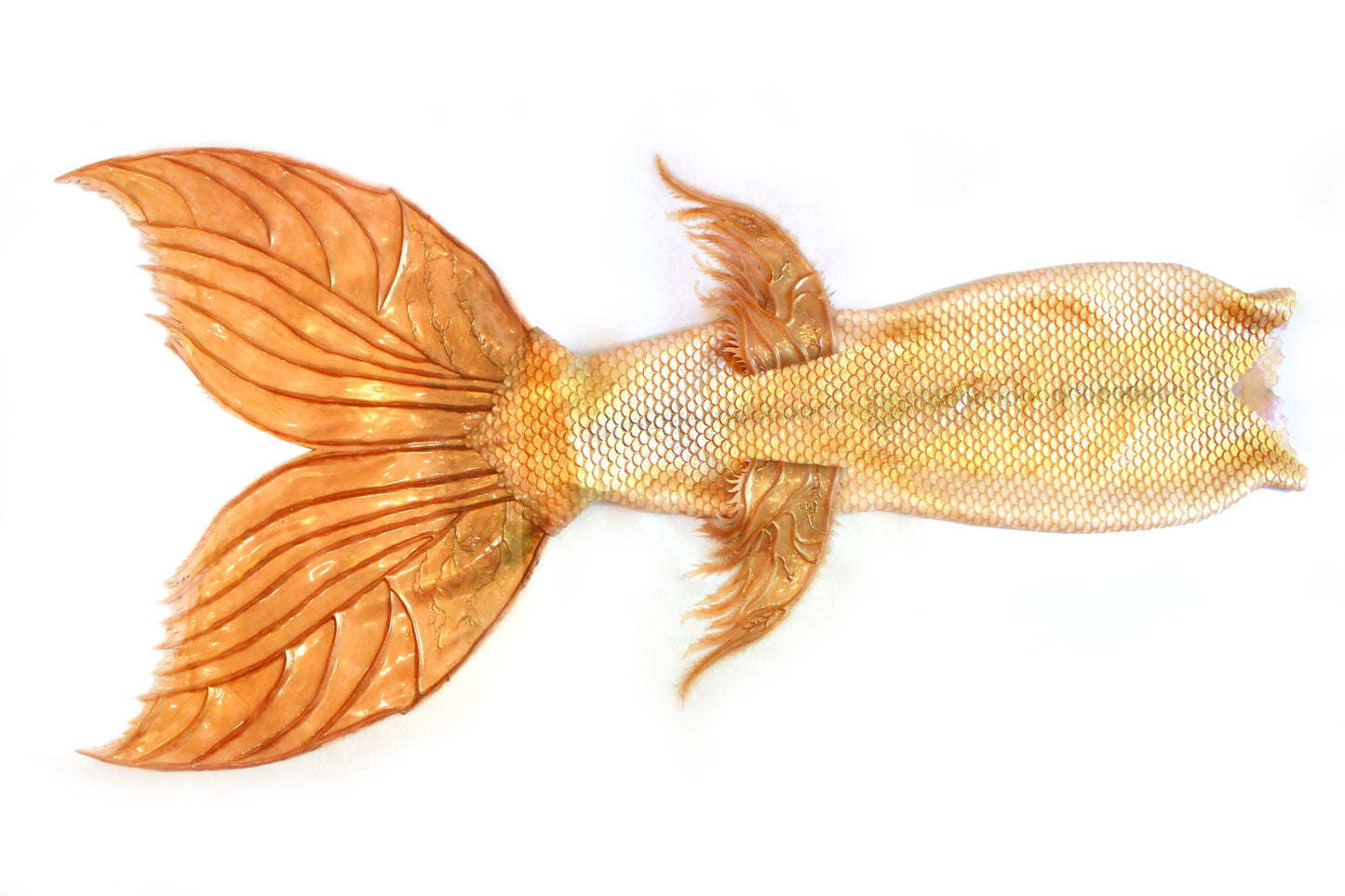 Professional mermaid tail, completely in silicone (dragon skin), with monofin inside.