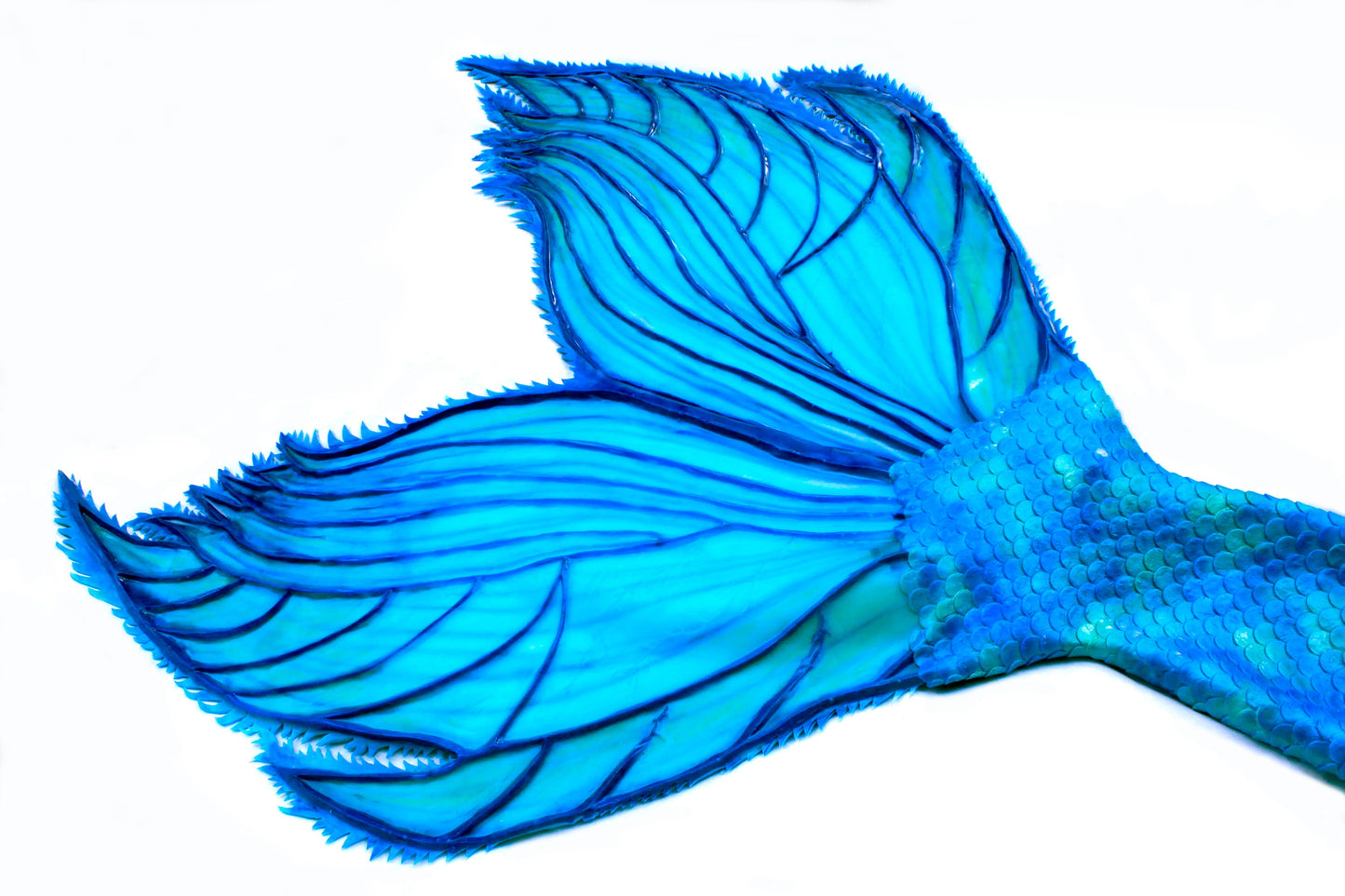 Mermaid tail completely in silicone (dragon skin, skin safe grade), with professional monofin inside.