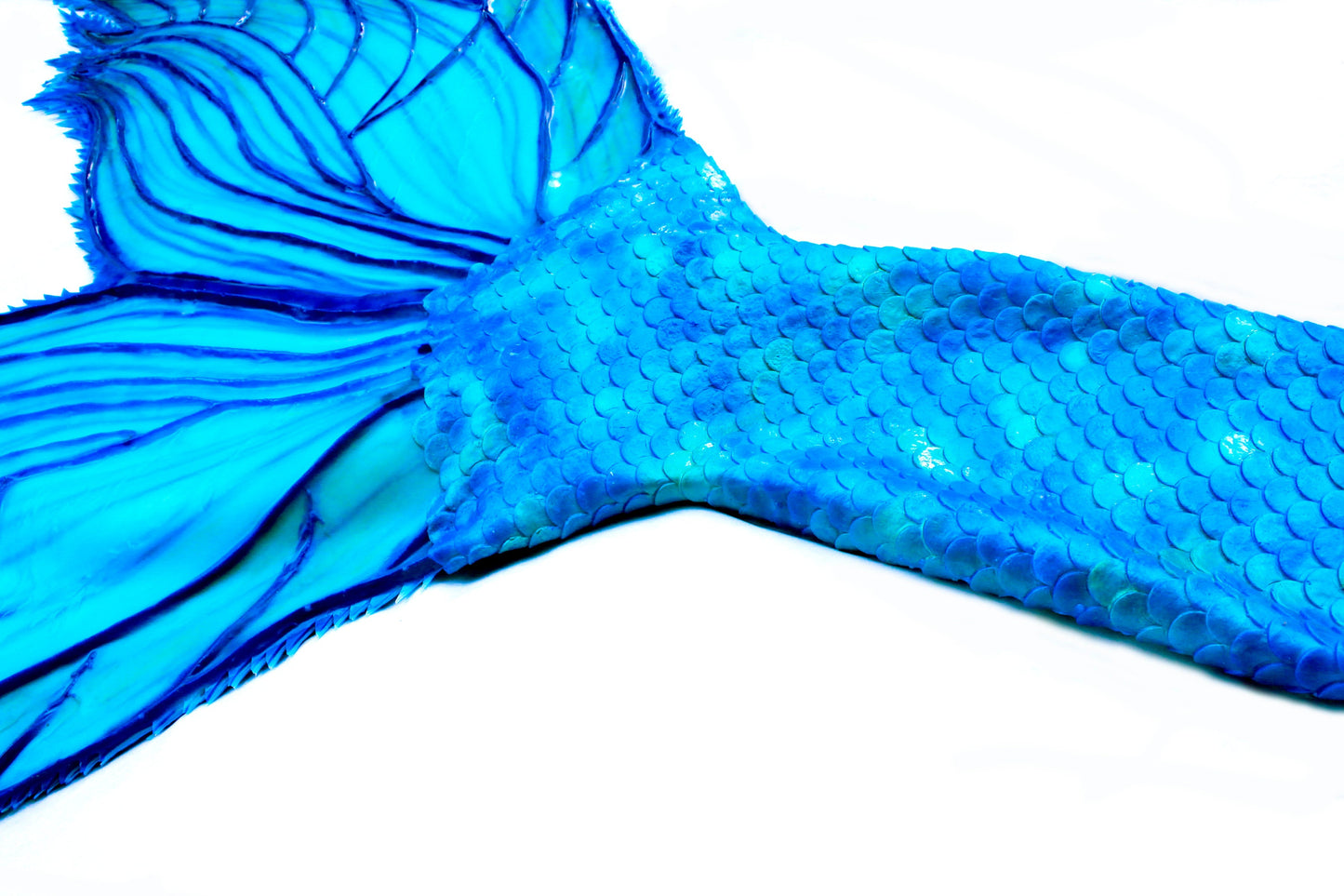 Mermaid tail completely in silicone (dragon skin, skin safe grade), with professional monofin inside.